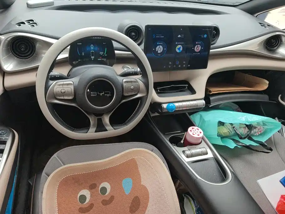 BYD Dolphin — миниатюра 12