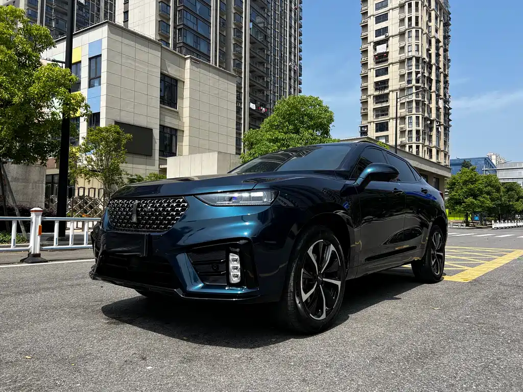 Купить Wey Wey VV7 GT