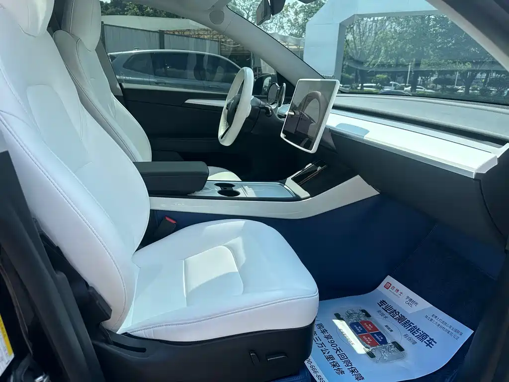 Tesla Model Y — миниатюра 8