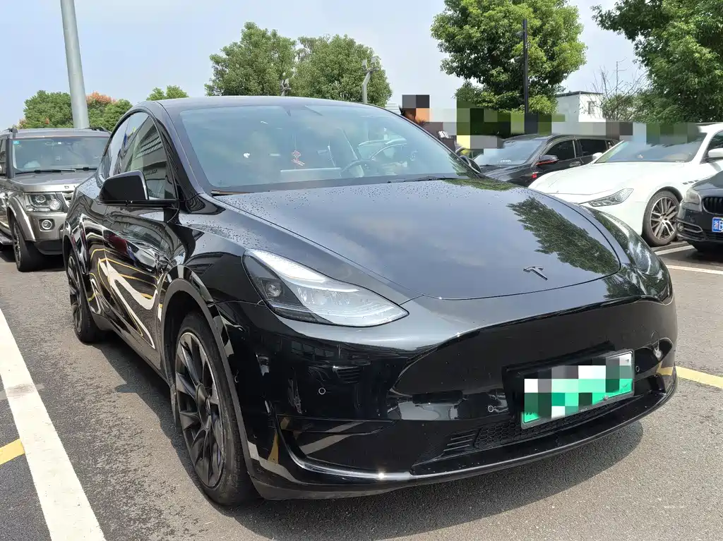 Tesla Model Y — миниатюра 3