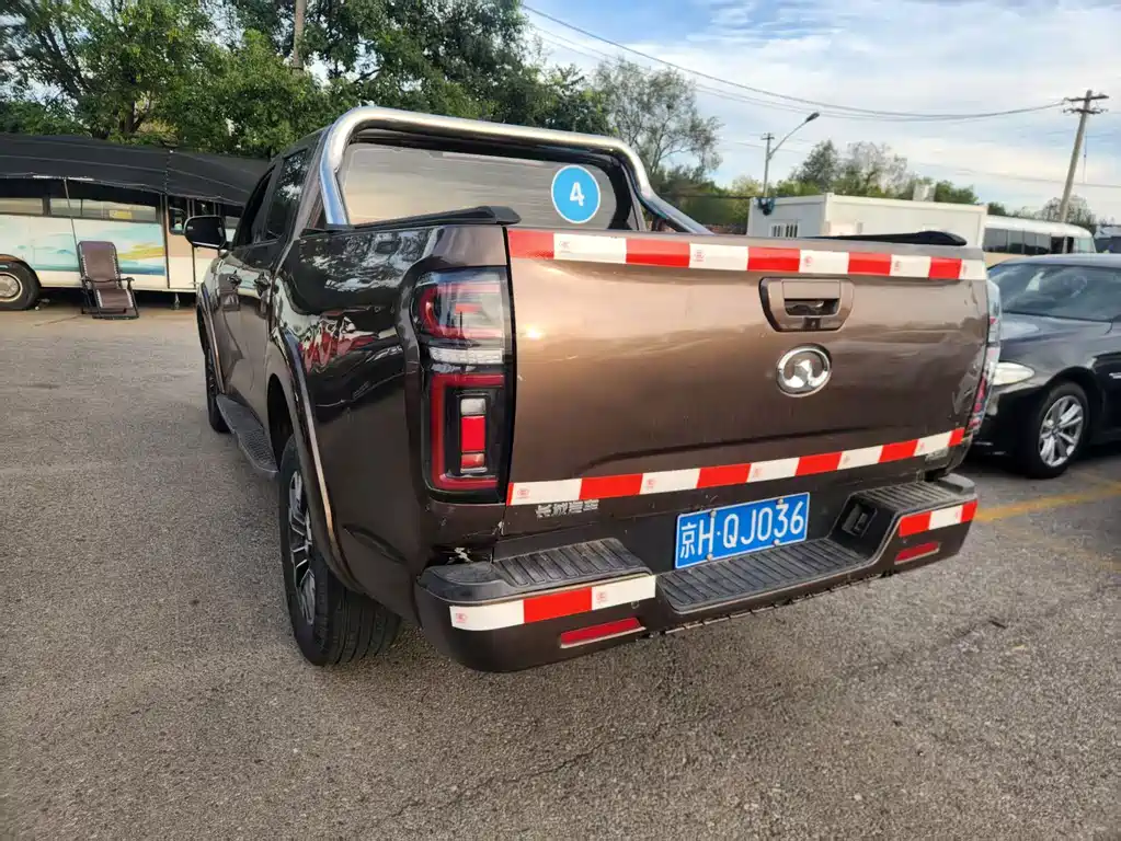 Great Wall Pao — миниатюра 4