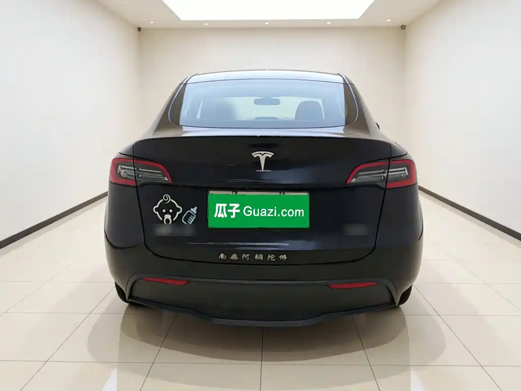 Tesla Model Y — миниатюра 5