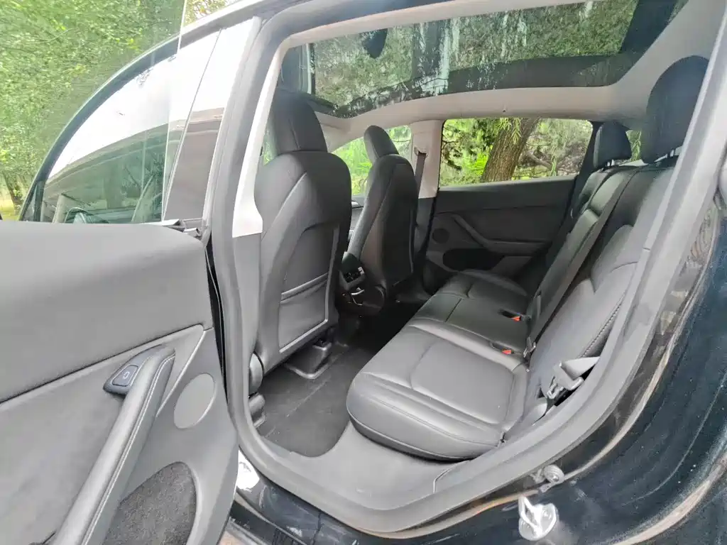 Tesla Model Y — миниатюра 9