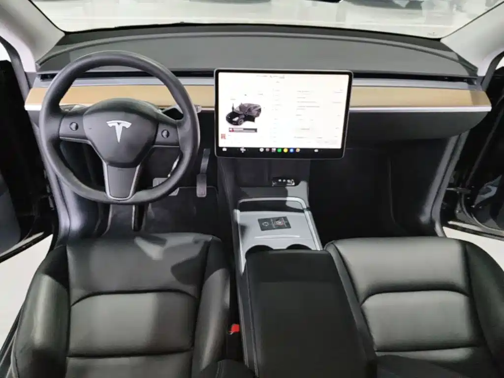 Tesla Model Y — миниатюра 10