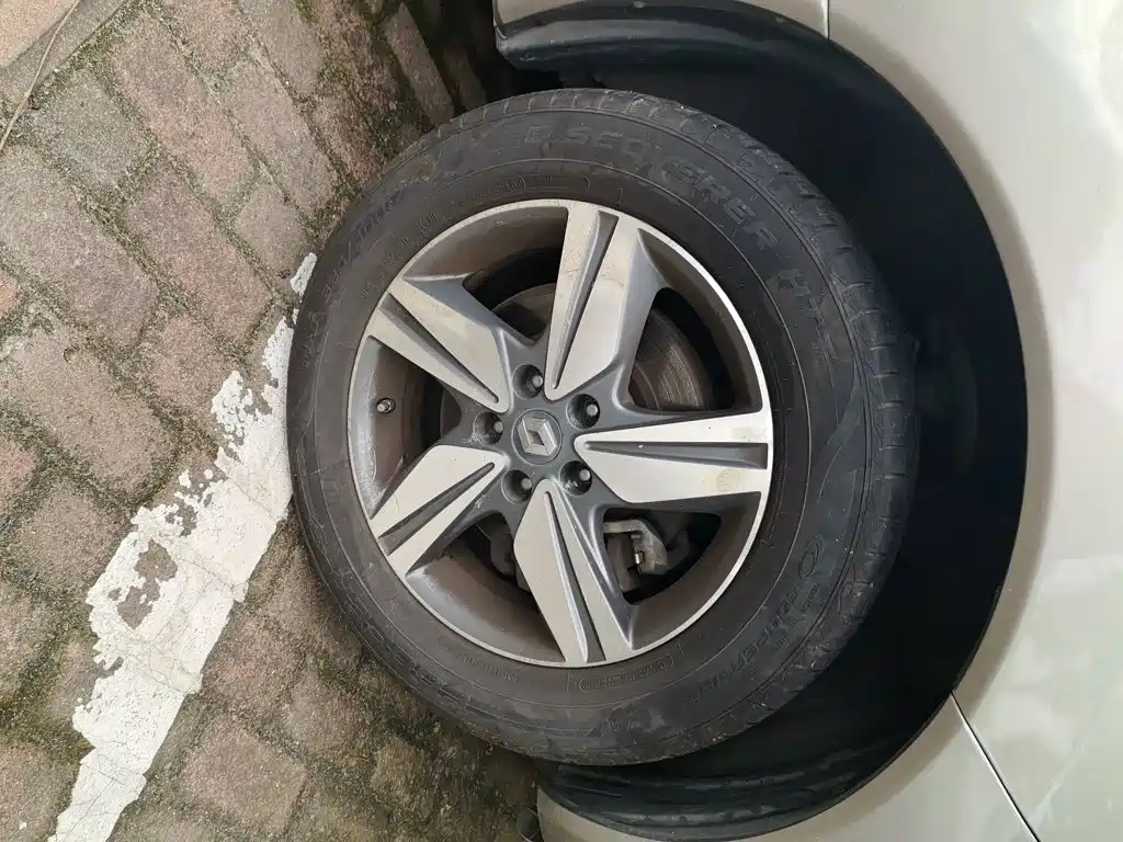 Renault Koleos (Import) — миниатюра 8