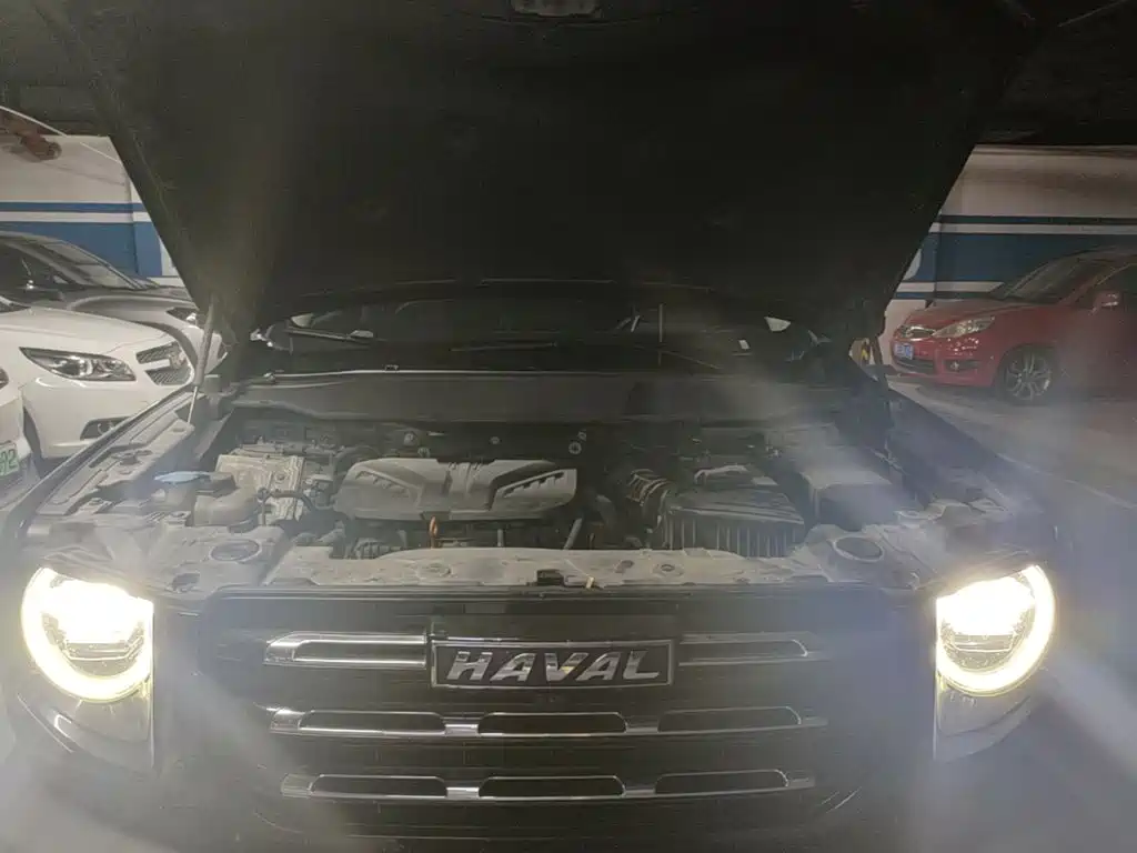 Haval 长城大狗 — миниатюра 16