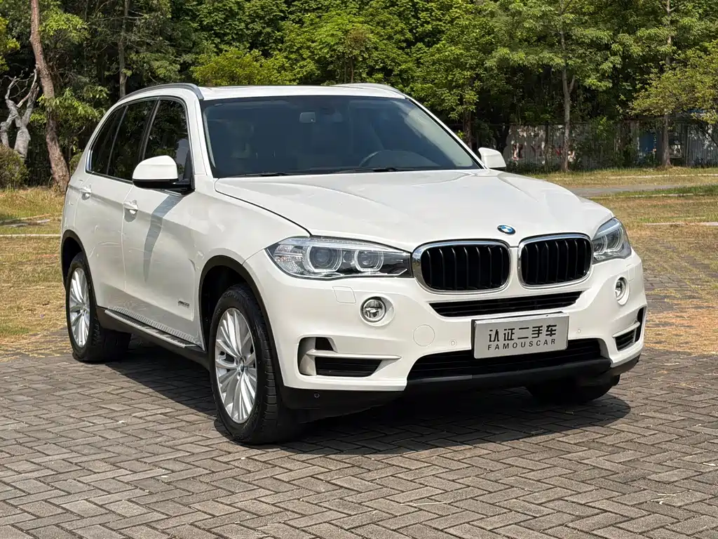 BMW X5 (Import) — миниатюра 3