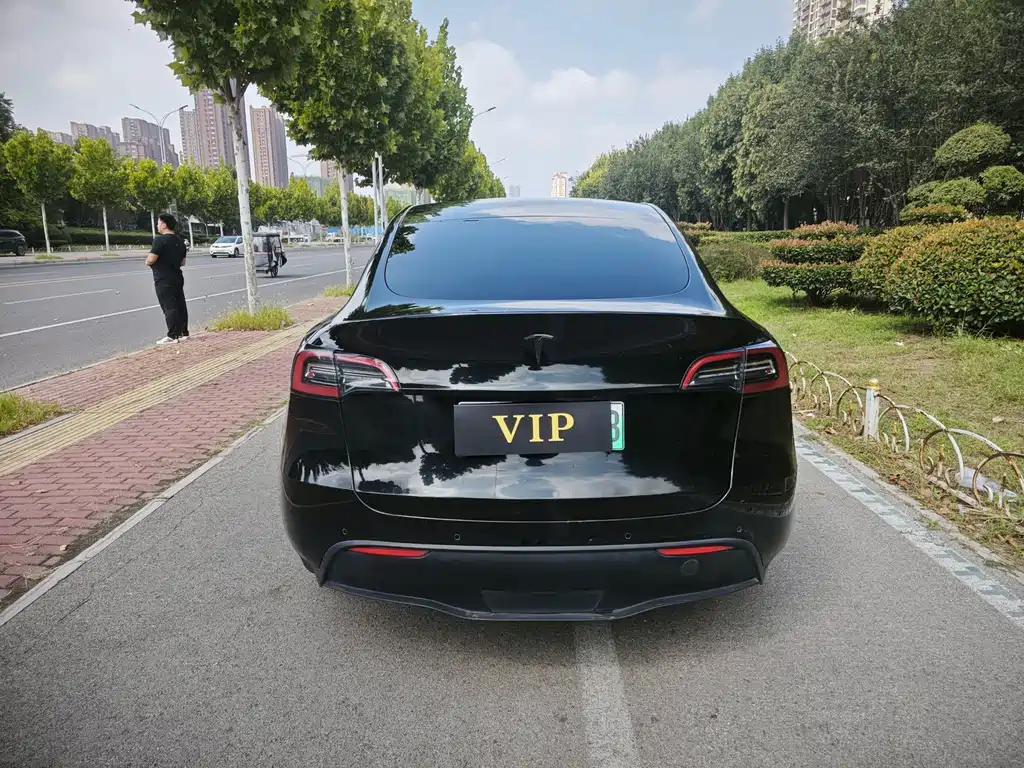 Tesla Model Y — миниатюра 11