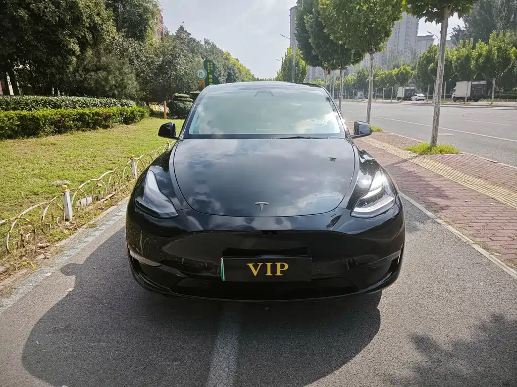 Tesla Model Y — миниатюра 2