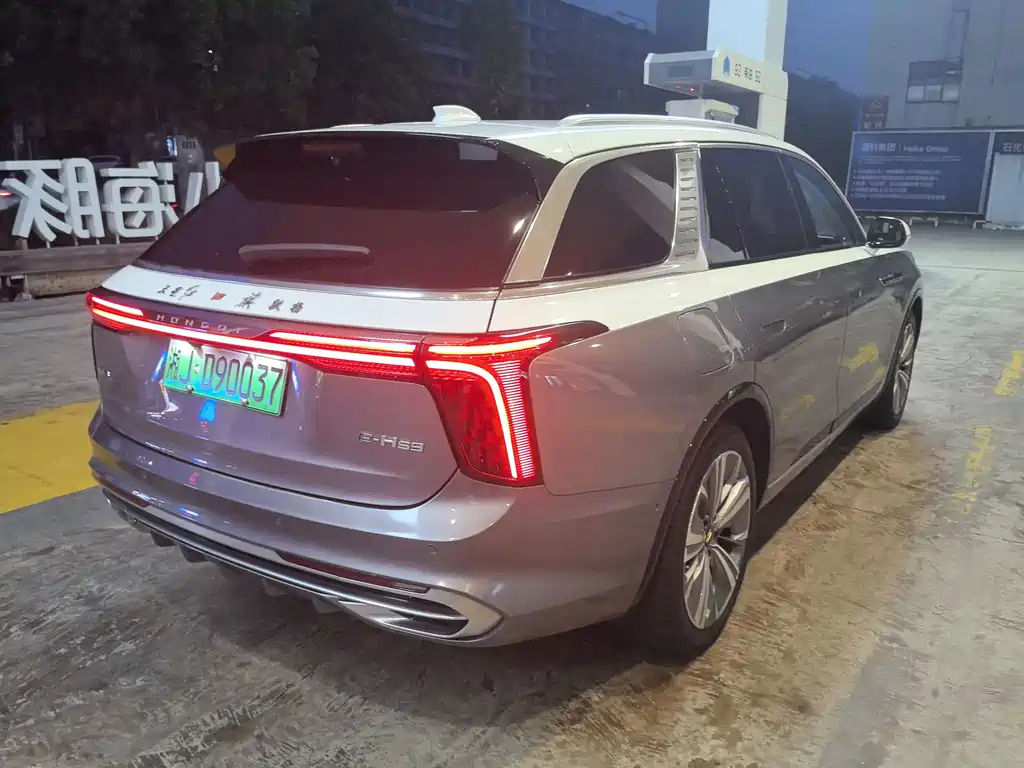 Hongqi Hongqi E-HS9 — миниатюра 6