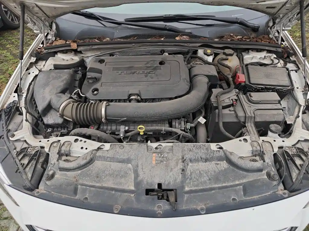 Buick Regal — миниатюра 11