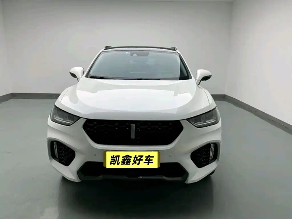 WEI PAI WEI BRAND VV5