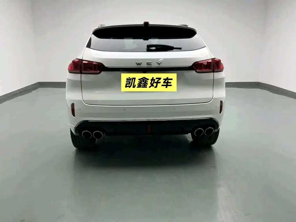 WEI PAI WEI BRAND VV5