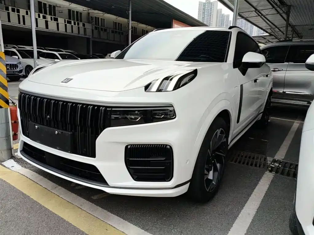 Lynk & Co 09 EM-P 2021 2.0T PHEV Halo мест
