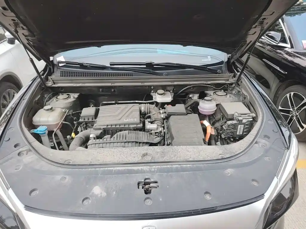 BYD Pro New Energy — миниатюра 20