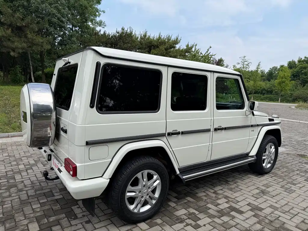 Mercedes-Benz G-Class G 2010 G 500