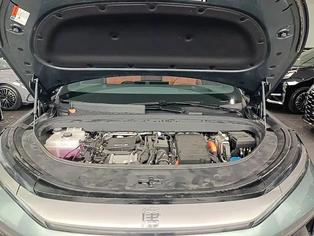 BYD Tang L — миниатюра 20
