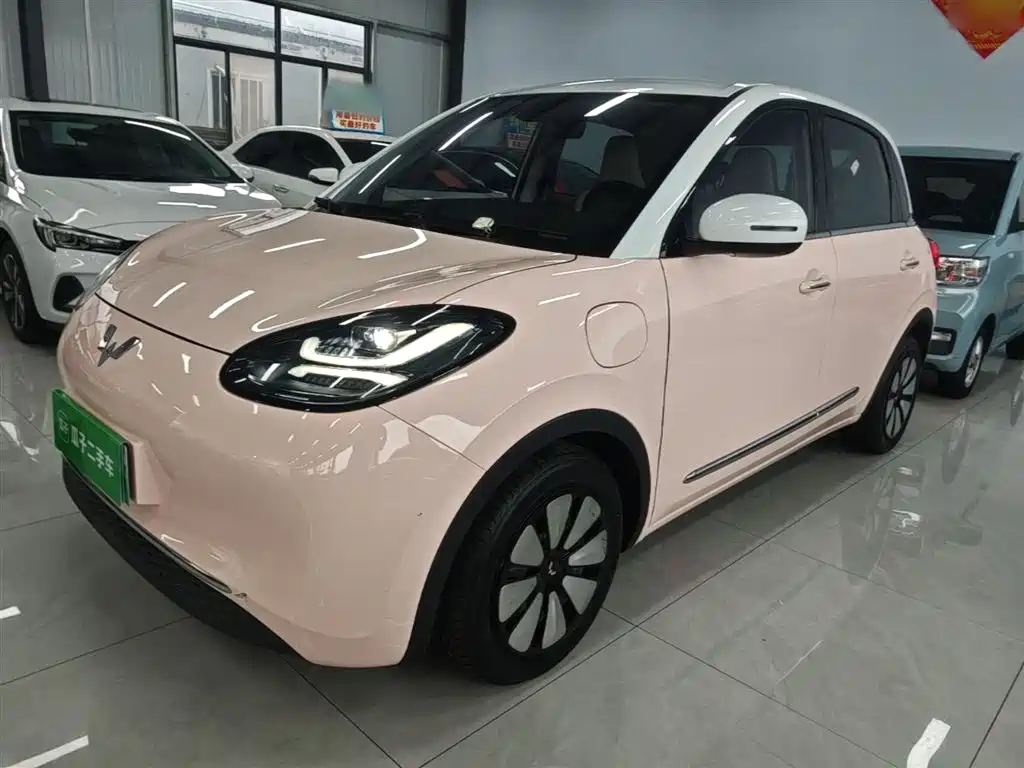 Wuling Binguo 2023 410km Premium