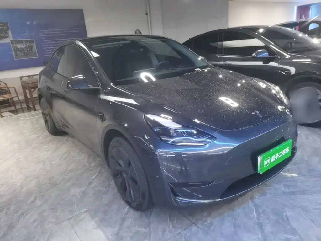 Tesla Model Y — миниатюра 4
