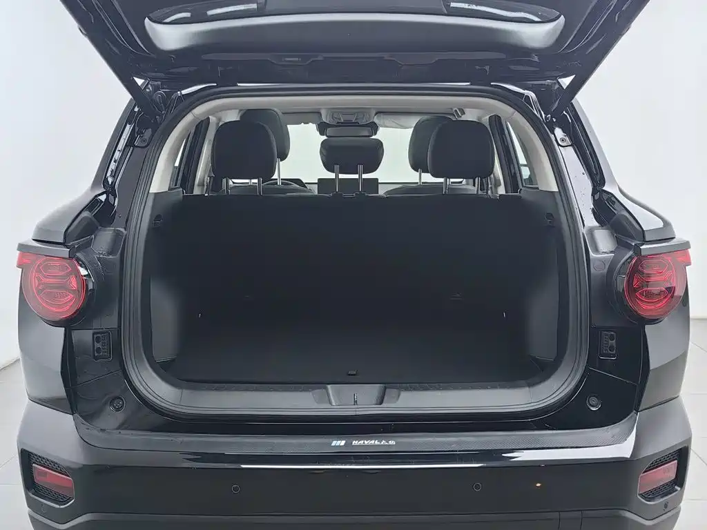 Haval Big Dog PLUS — миниатюра 16
