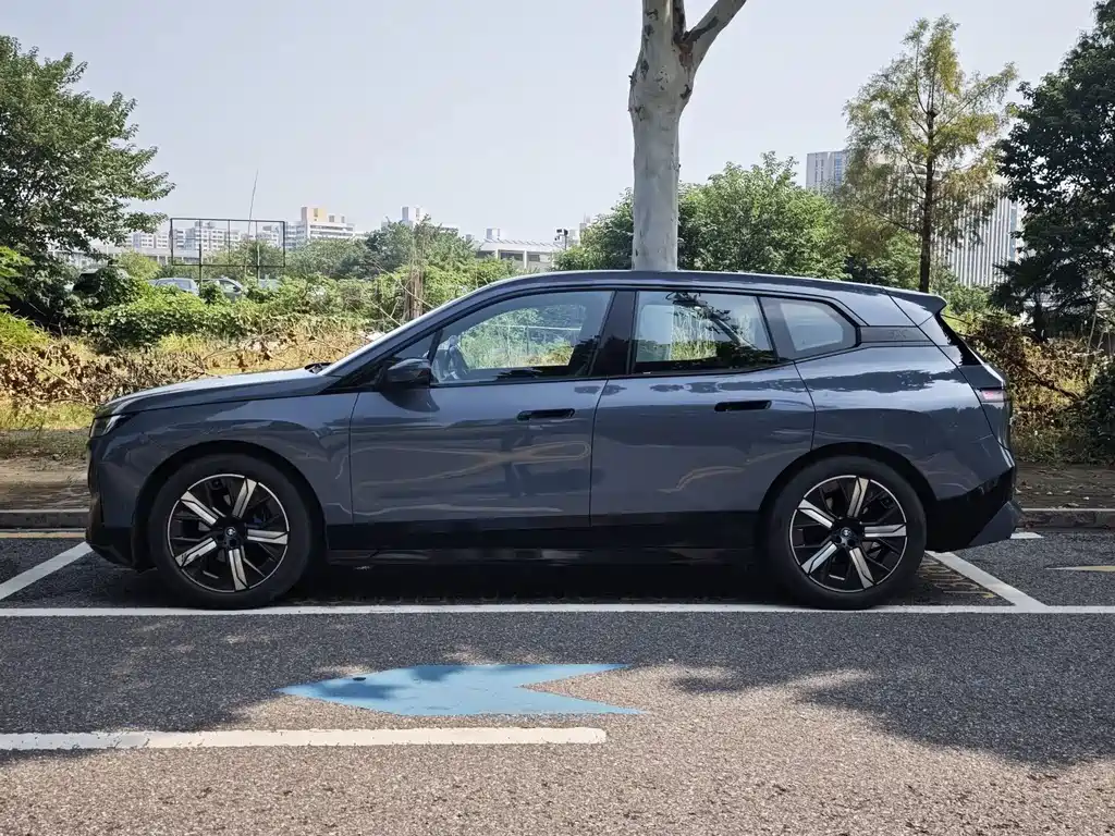BMW iX — миниатюра 2