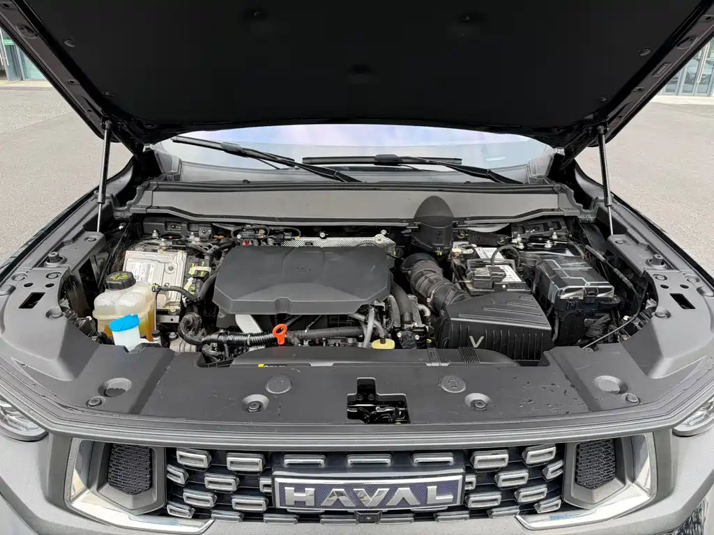 Haval Big Dog PLUS — миниатюра 16