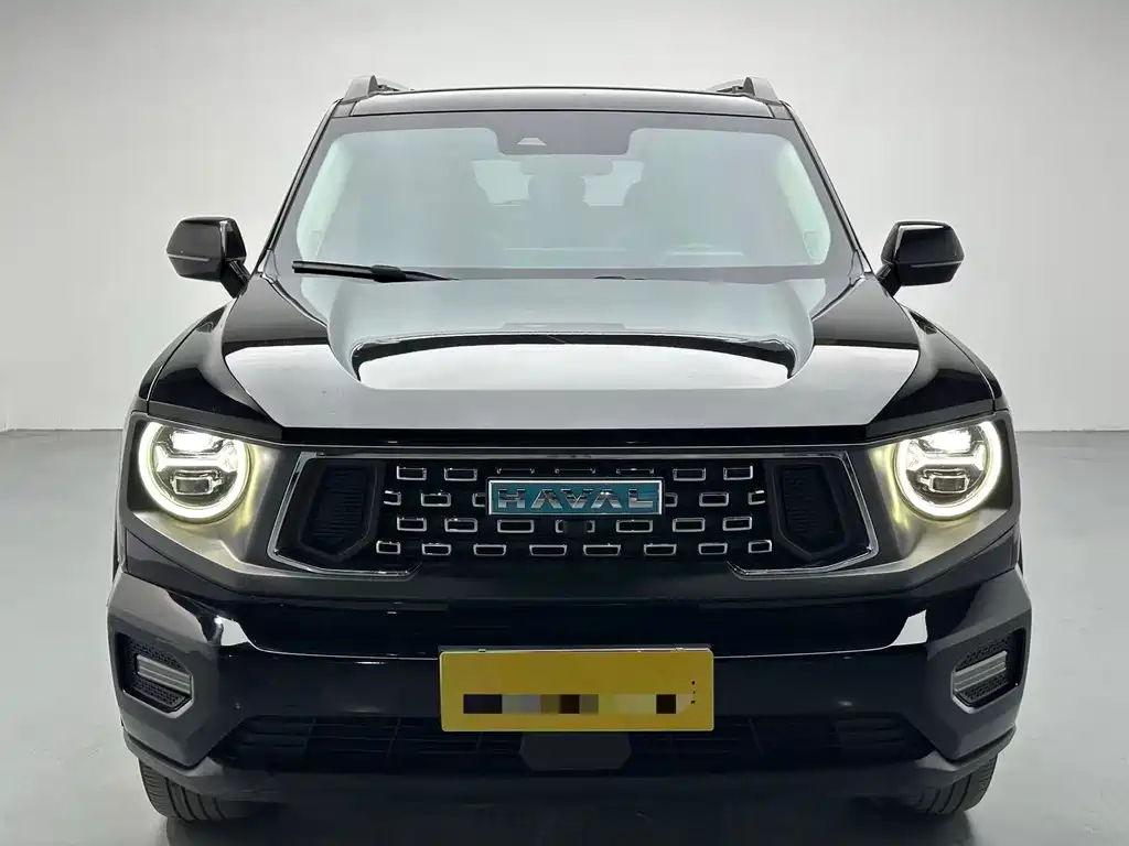 HAVAL SECOND GENERATION BIG DOG NEW ENERGY