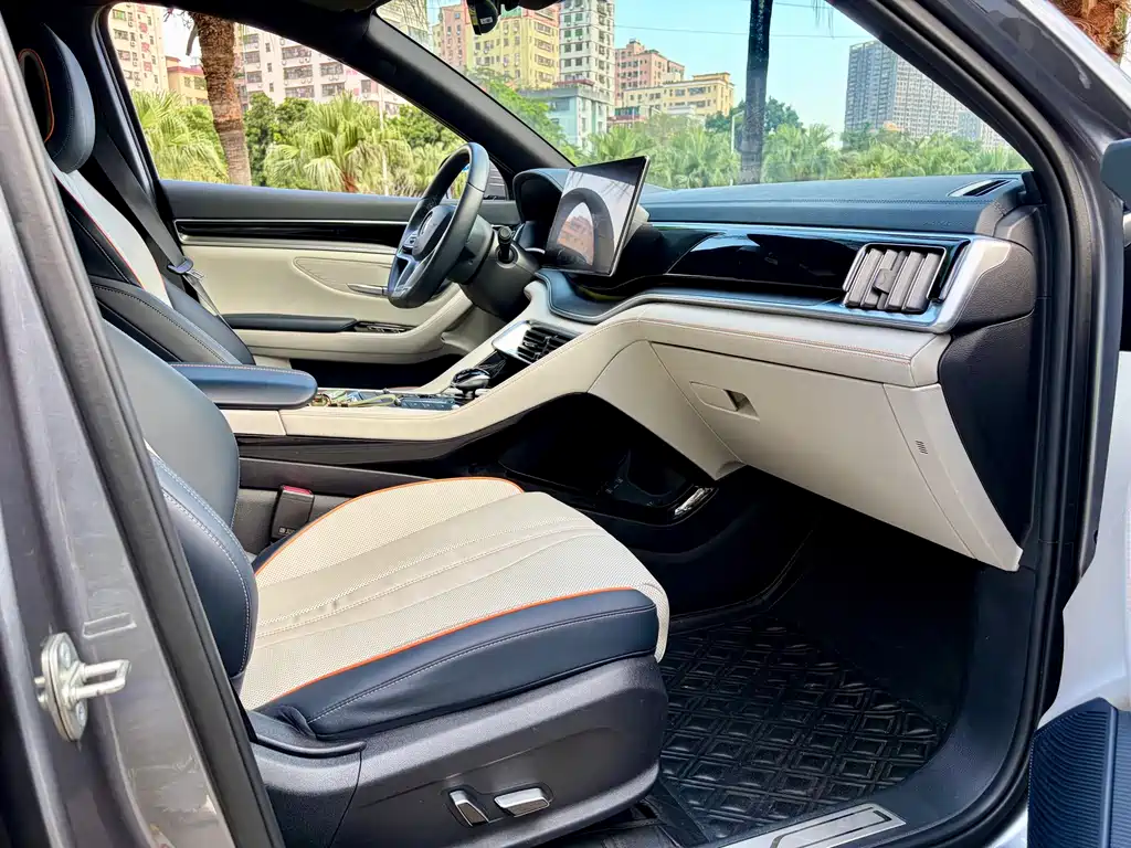 BYD PLUS New Energy — миниатюра 11