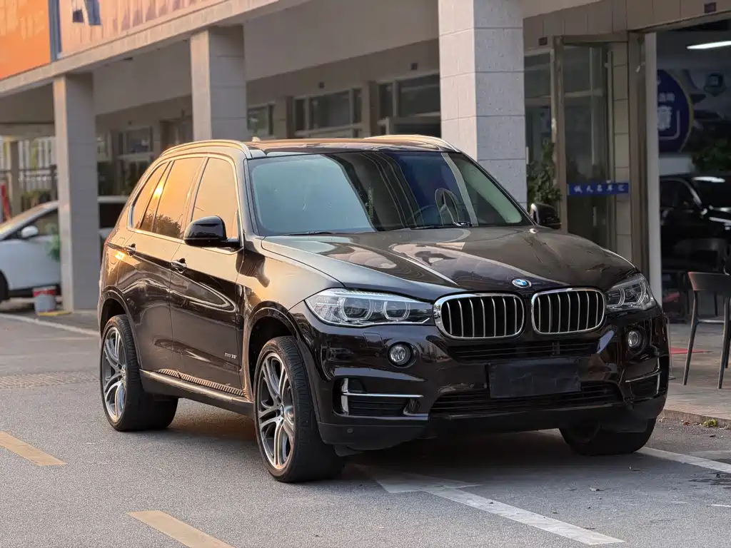 BMW X5 (Import) — миниатюра 15