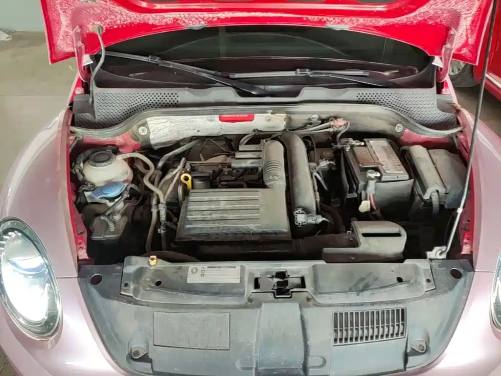Volkswagen Beetle — миниатюра 20