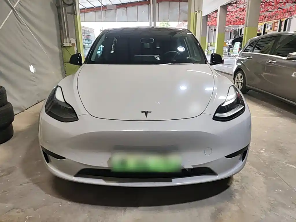 Tesla Model Y — миниатюра 3