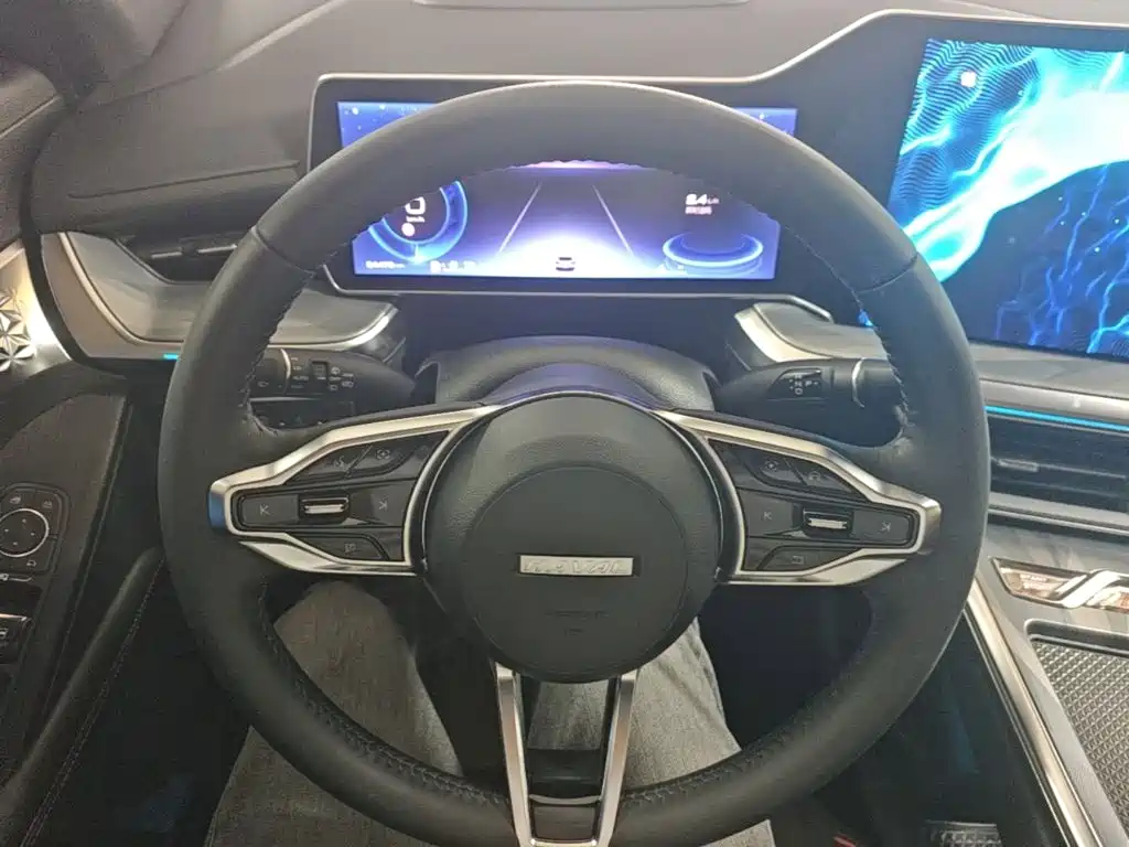 Haval Shenshou — миниатюра 11