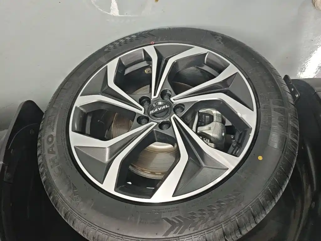 Haval Shenshou — миниатюра 23