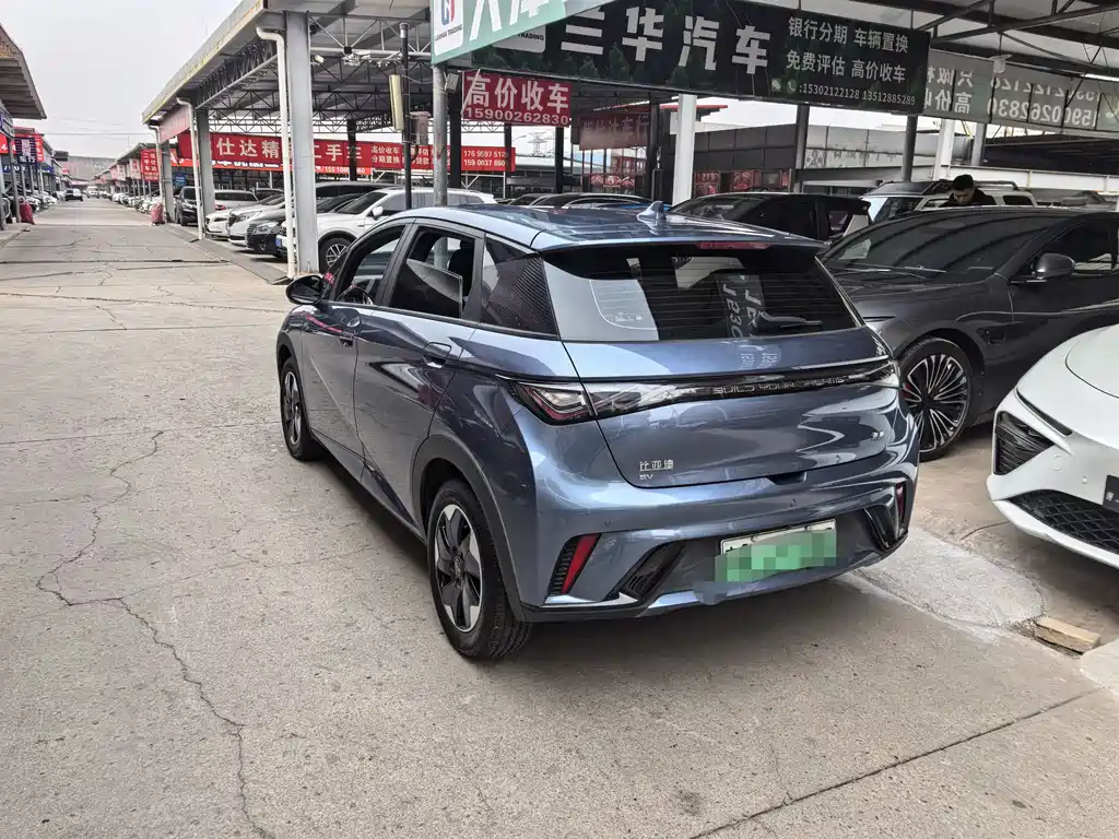BYD DOLPHIN