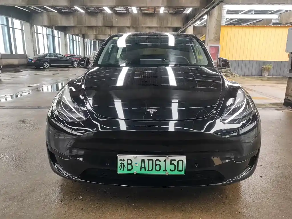 Tesla Model Y — миниатюра 2