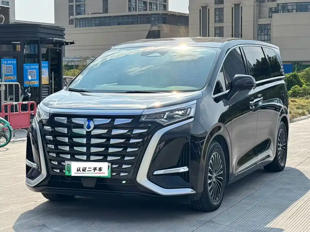 Denza D9