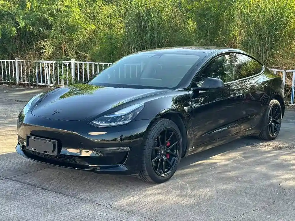 Tesla Model 3 — миниатюра 3