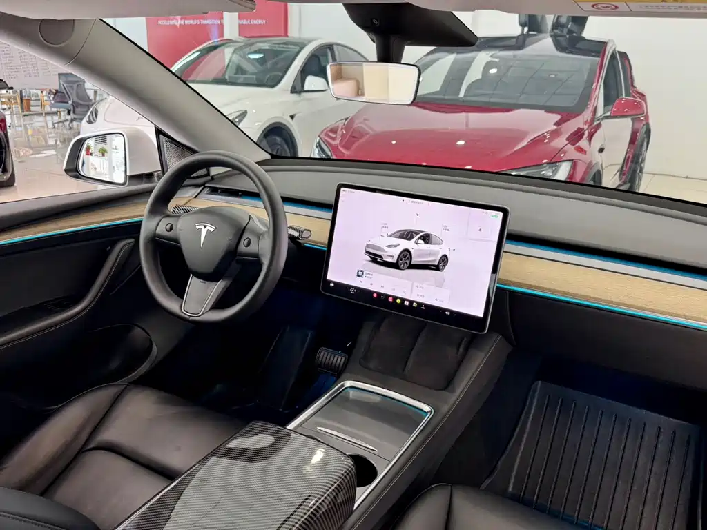 Tesla Model Y — миниатюра 8