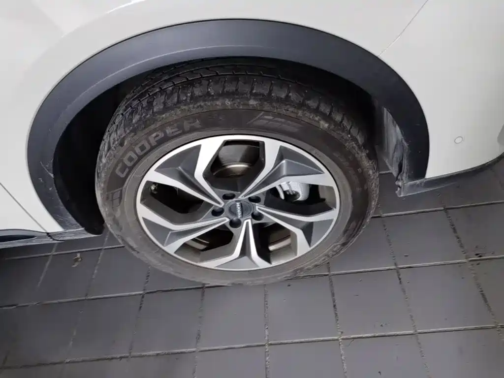 Haval Xiaolong MAX — миниатюра 12