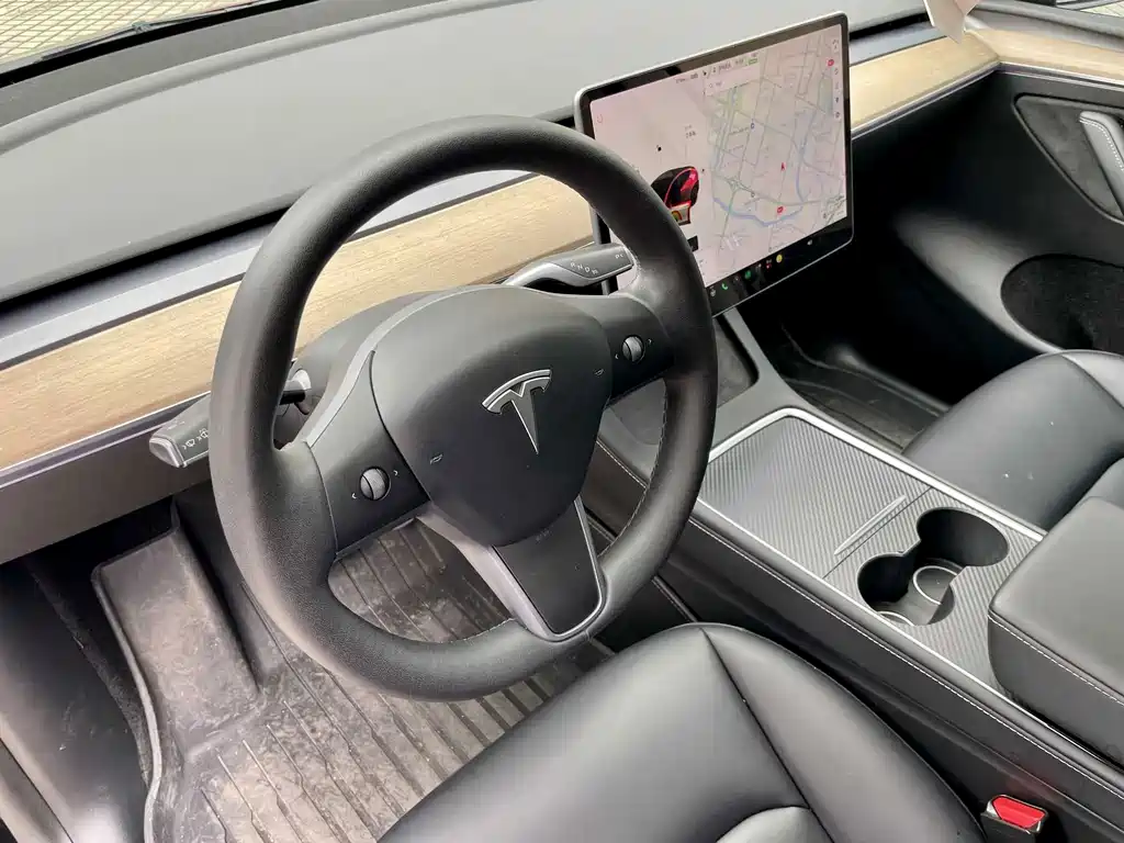 Tesla Model Y — миниатюра 15