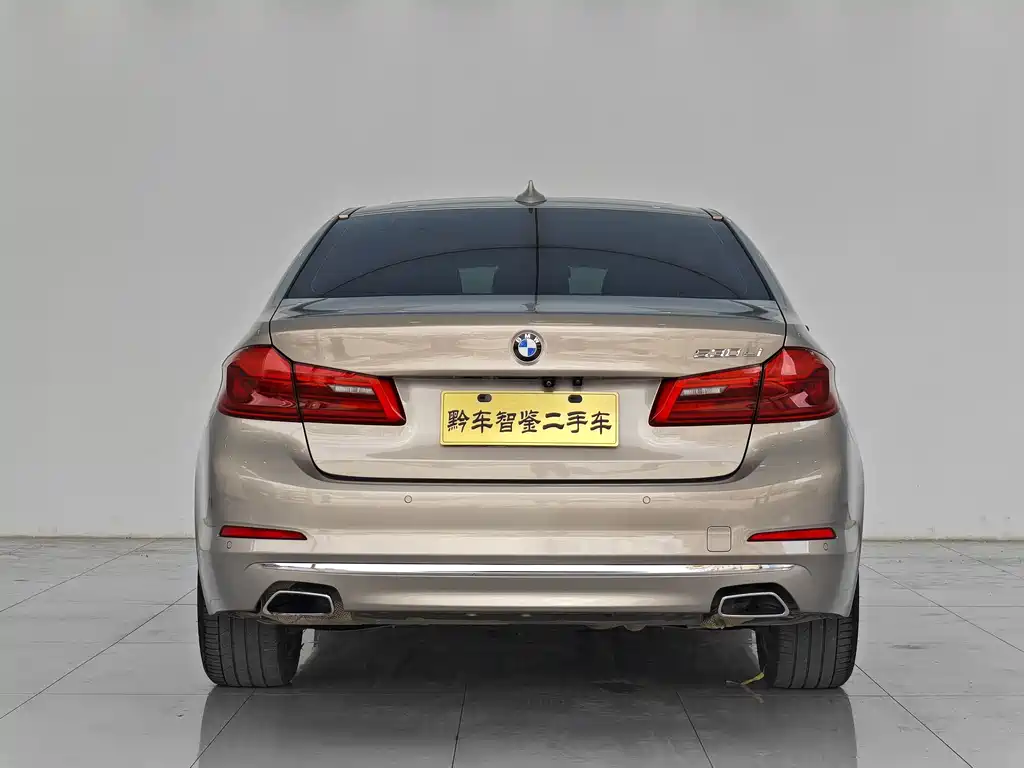 BMW 5 Series — миниатюра 5