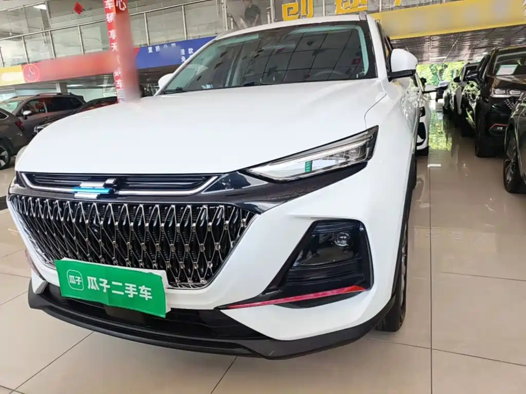 Oshan Oushang X7 PLUS — миниатюра 24