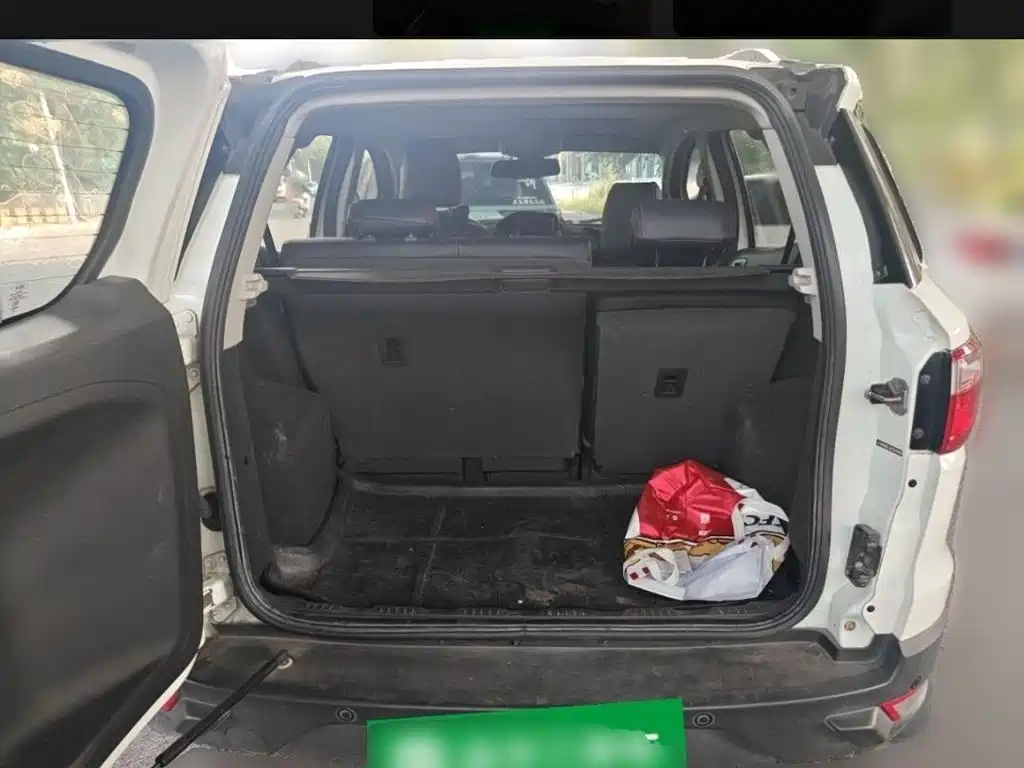 Ford Ecosport — миниатюра 23