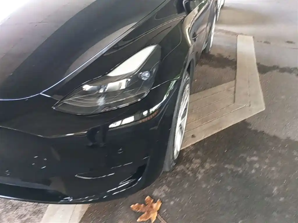 Tesla Model Y — фотографии объявления, Фото 25