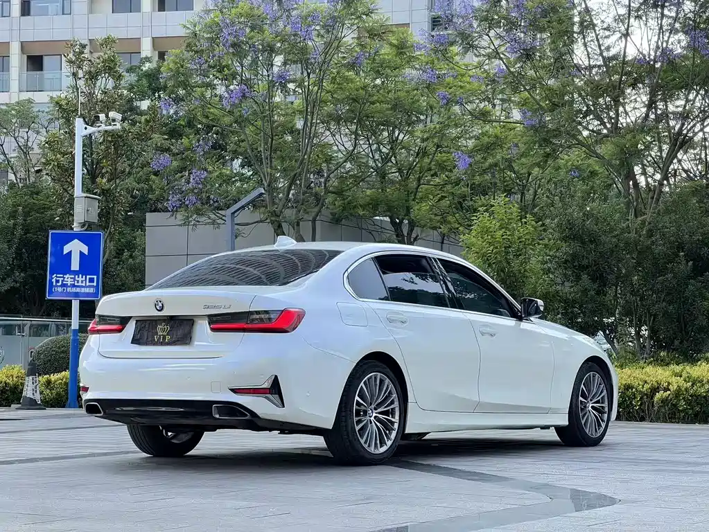 BMW 3 Series 3 2020 325Li