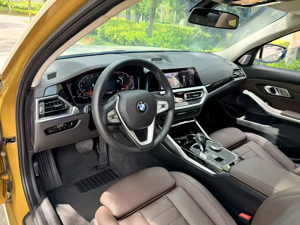 BMW 3 Series 3 2020 325Li