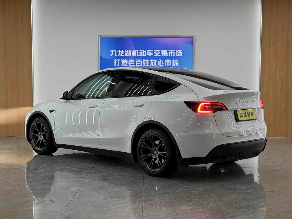 Tesla Model Y — миниатюра 5