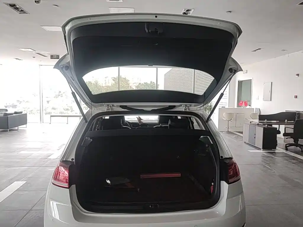 Volkswagen Golf — миниатюра 19