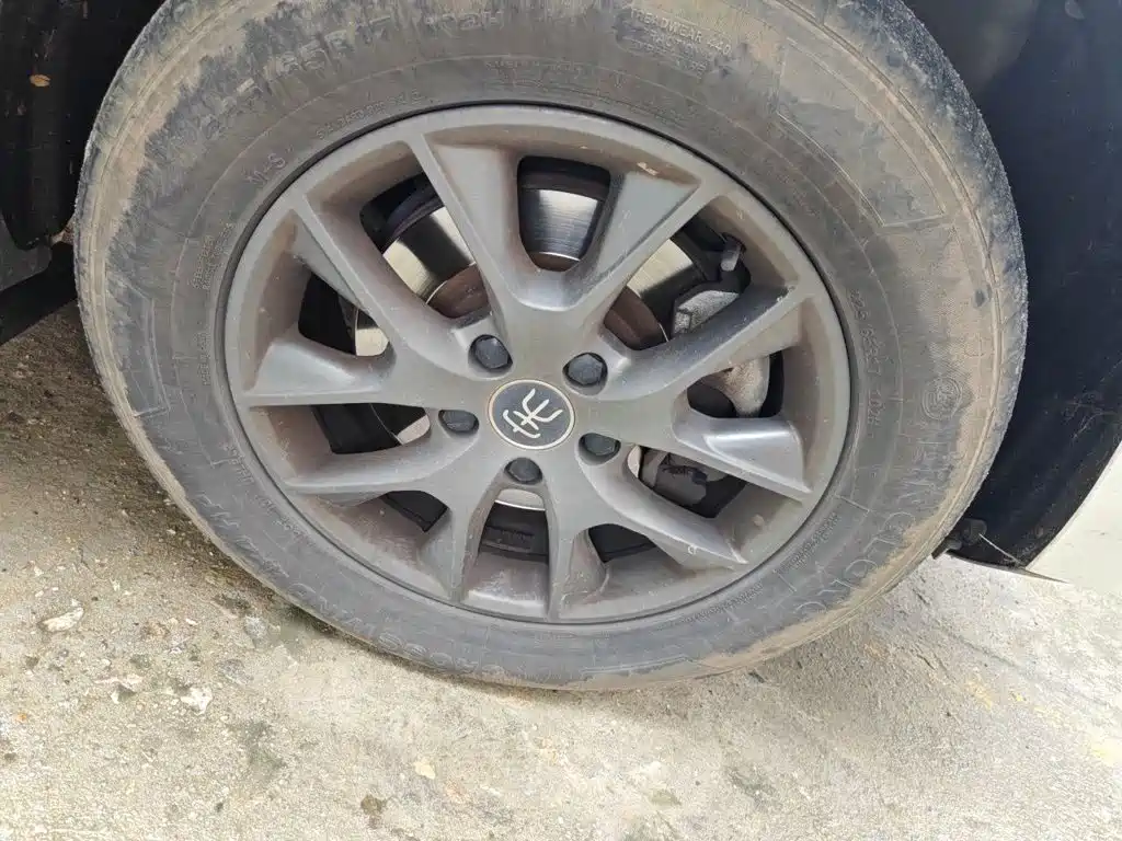 BYD Song — миниатюра 8