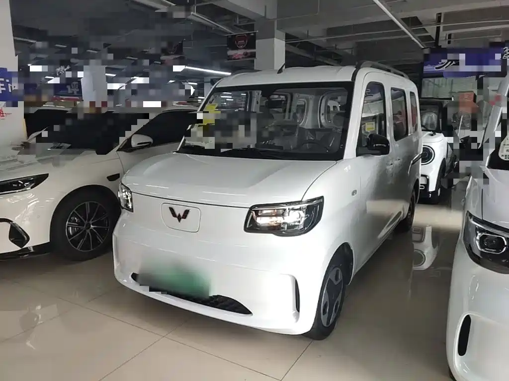 Wuling Light NEV 2025 305km Progressive Type